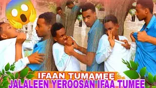 🛑 IFAAN TUMAMEE// JALALEEN YEEROOSAN DURII IFAA QABE TUMEE 😱🙆🤜