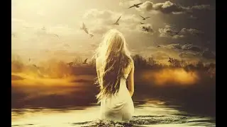 Птичка HammAli & Navai. кавер-версия (rock)