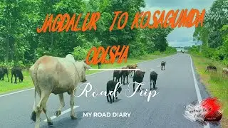 road 🛣️ trip jagdalur to Odisha