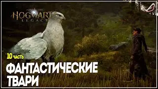 Прохождение Hogwarts Legacy ● Занятия по изучению фантастических тварей ●  Прохождение на русском