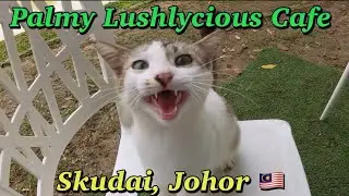 Palmy Lushlycious Cafe Johor 🇲🇾 #johor #malaysianfood
