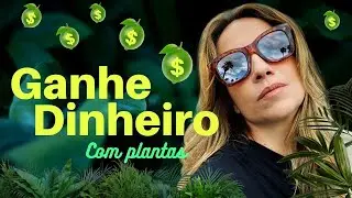 5 IDEIAS DE NEGÓCIOS PARA MONTAR  SE VOCÊ GOSTA DE PLANTAS