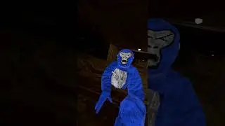 Interesting But Useless Facts About Gorilla Tag! (part 3)