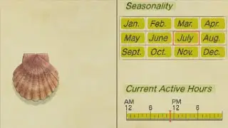 How To Catch Scallop In Animal Crossing New Horizons -  And Turn In Dialog