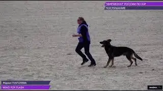 Wind Fox Flash Чемпионат России 2021 IGP-3 B-72