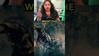 Elden Ring DLC Reaction - Challenge Runner Reacts LIVE #eldenring #dlc