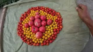 Команда - СТРОИТЬСЯ !!!