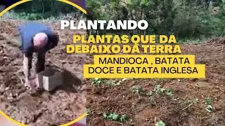Dia De Plantar No Nosso Cantinho Da Roça