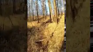 УЛОВ сибирской плотвы "Чебак"