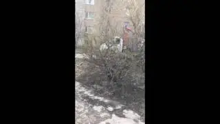 Полицейские нарушают ПДД. Балаково.