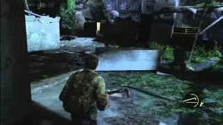 The Last Of Us P10
