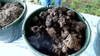 Concerns regarding the use of raw manure in a garden