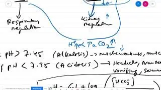 Lecture15: Arterial Blood Gas (ABG) Analysis