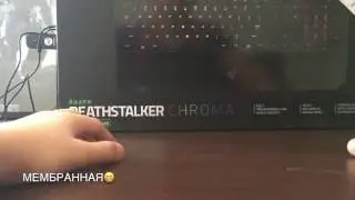 Распаковка клавиатуры Razer DEATHSTALKER CROMA