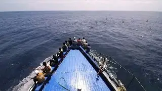 Voices from Small Island Developing States