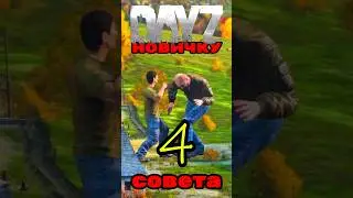 ДЕЙЗ ГАЙД | СОВЕТЫ НОВИЧКУ В DAYZ #дейз #dayz #дейзгайд