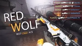 CSGO - Top ACE and Best MOMENTS #5
