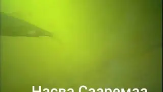 В речке Насва...весна