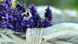 Lavender's Blue - Video by Bell Dragonfly