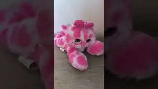 котенок nuzzy luvs