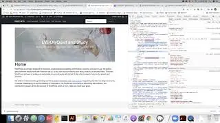 Styling the Slides - Part 2