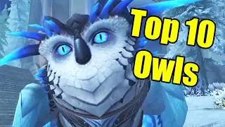 Pointless Top 10: Owls in World of Warcraft