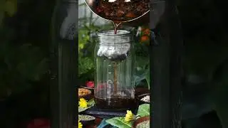 DIY Iron Tonic Recipe