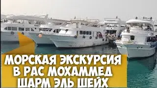 Морская экскурсия на ЯХТЕ в заповедник РАС МОХАММЕД в Шарм Эль Шейхе с@ХасанШарм #шармэльшейх