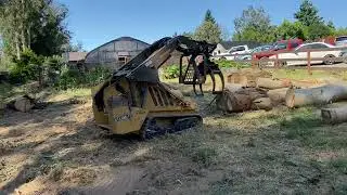 Removiendo Eucaliptos Gigantes