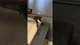 лось 145 дорободка