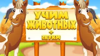 ЖИВОТНЫЕ для ДЕТЕЙ! Как говорят ЖИВОТНЫЕ? Учим ЗВУКИ! Развивающее видео.