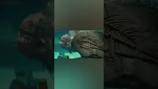 Мифы, в которые мы верим