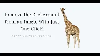 How to Remove the Background from Images With Just One Click