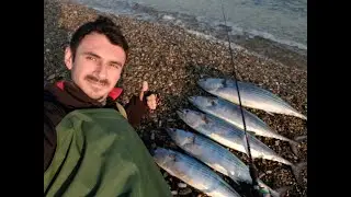 Spin İle Bol Kalama Sesli  Palamut Torik Avı & Bonito Fishing & カツオ 釣り