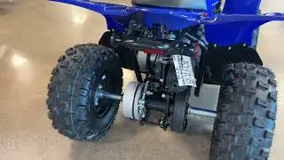 2024 Yamaha YFZ 50 Youth