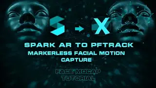 Markerless Facial Motion Capture