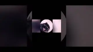 PEDRO PEDRO PEDROPEDRO PEDRO