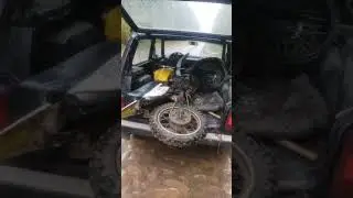Зид сова