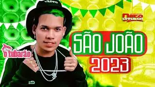 O TUBARÃO • CD NOVO SÃO JOÃO 2023 (5 MÚSICAS NOVAS)