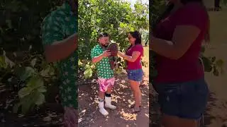 MELHORES DA SEMANA