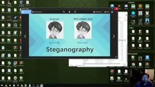 Make a Tool to Hide files in bitmaps... FUN!