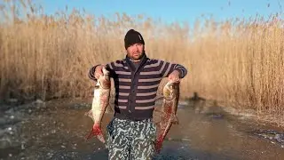 Qishda balıq 🐟 ovi. Muzda baliq 🐟🐟🐟 ovlash.Зимняя рыбалка