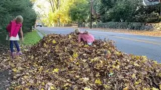 Gross motor activities for kids (jumping pile of leaves)
