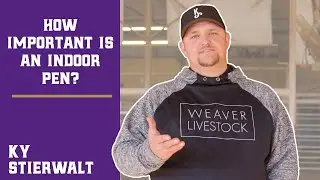How Important is an Indoor Pen?