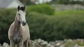 Какая прелесть.