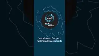 Why Water Quality Matters in Sterile Processing