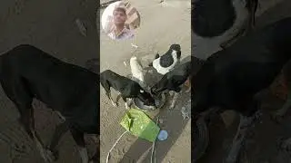 Jivdaya papa ne mummy ae sikhwadi karta 🙏🫶😘😍