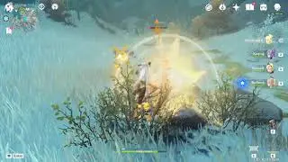 Genshin Impact - Fatui Skirmisher vs Fire Pit