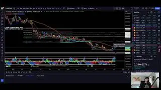 MANATA SQUAD MINT- BITCOIN - KUJIRA -  -   11/10/2023