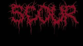 SCOUR - SHANK (2017)